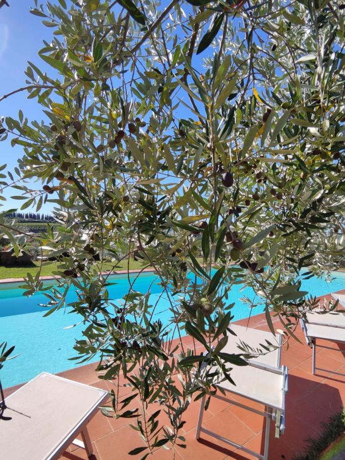 Agriturismo Sommassa Greve in Chianti Exterior photo