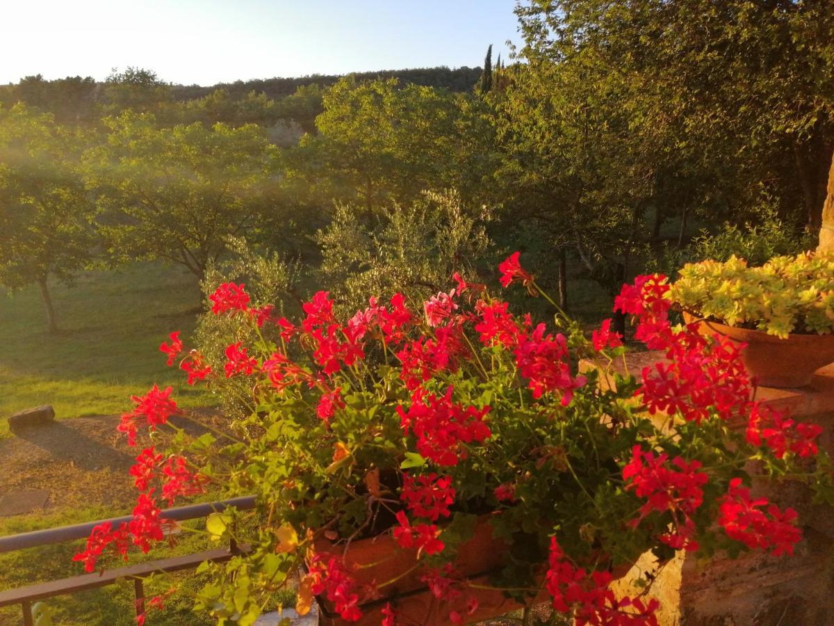 Agriturismo Sommassa Greve in Chianti Exterior photo